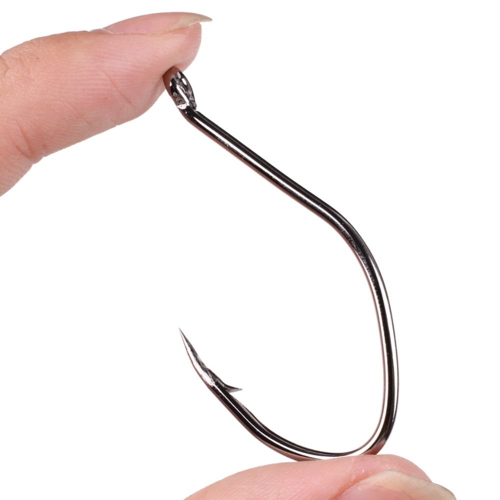 10 قطعة/صندوق الشائكة سمك السل - مراجعة Fishing Hook Circle وسعره