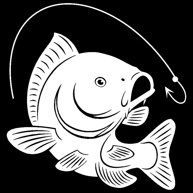 زينة لصيد سمك الشبوط ، هواية ص - مراجعة Fishing Hook وسعره