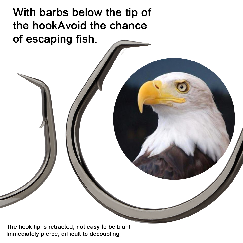 خطافات صيد السمك FTK خطاف دائر - مراجعة Fishing Hook Circle وسعره